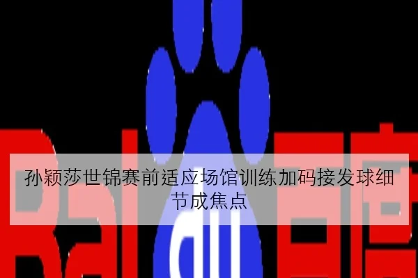 孙颖莎世锦赛前适应场馆训练加码接发球细节成焦点